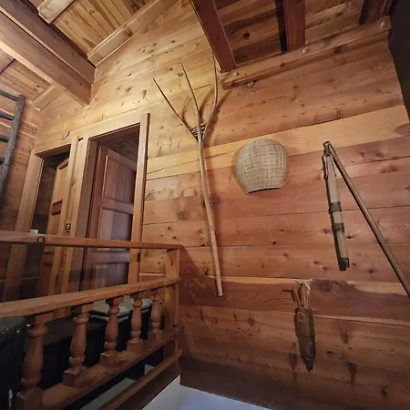 Vue 180 - Au Pied Des Pistes - Typique Et Alpin *