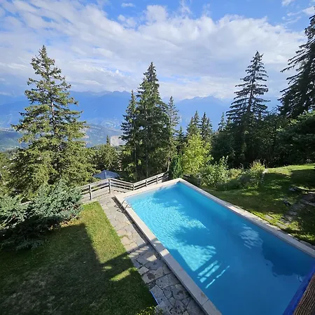 Vue 180 - Au Pied Des Pistes - Typique Et Alpin *