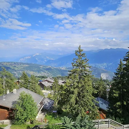 Vue 180 - Au Pied Des Pistes - Typique Et Alpin