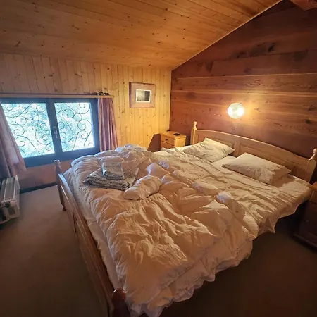 Vue 180 - Au Pied Des Pistes - Typique Et Alpin * アンゼール