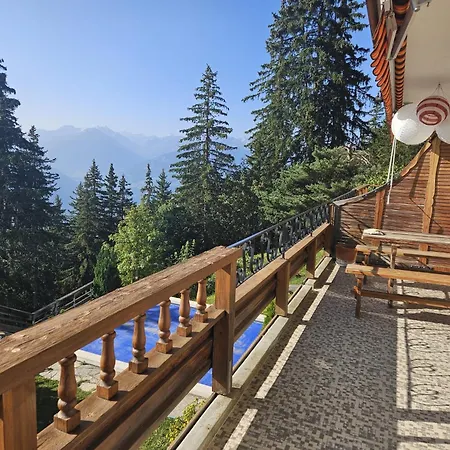 Vue 180 - Au Pied Des Pistes - Typique Et Alpin